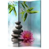 Paraván - Water Lily and Zen Stones [Room Dividers] Veľkosť: 135x172, Verzia: Obojstranný