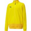 Puma teamGOAL 23 Training Jacket Jr 65657007