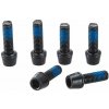 Skrutka do predstavca RITCHEY WCS C220/Toyon Replacement Bolt Set čierna