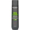 Goldwell Dualsenses For Men Anti-Dandruff Shampoo 300 ml