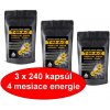 Valknut TMAZ Tribulus Maca Arginin Zinek 3x240 kapsúl - kúra na 4 mesiace AKCIA