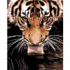 Maľovanie podľa čísel - Tiger pri vode, 40 x 50 cm, napnuté plátno na ráme 8596530037019