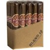 Blend 15 Robusto