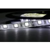 eLite LED pásik SMD5050, biela 8000K, 24V, 1m, IP54, 60 LED/m