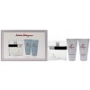 Salvatore Ferragamo F By Ferragamo Pour Homme Darčeková sada unisex toaletná voda 100 ml, sprchový gél 75 ml a balzam po holení 75 ml 100 ml