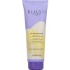 Inebrya Blondesse No Yellow Mask 250 ml