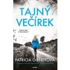 Tajný večírek - Patricia Gibneyová