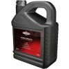 Motorový olej Briggs & Stratton olej 5 l I BOEL.sk