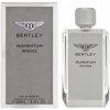 BENTLEY Momentum Intense parfumovaná voda pánska 100 ml