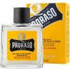 Proraso Wood and Spice balzam na fúzy 100 ml