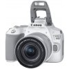 Digitálny fotoaparát Canon EOS 250D biely + EF-S 18-55 mm f/4-5.6 IS STM (3458C001)