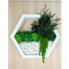 Premium Hexagon šesťuholník na steny so stabilizovaným machom a rastlinami bielej farby - 30 cm
