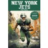 New York Jets Fun Facts (Trivia Ape)(Brožovaná)