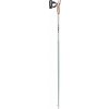 Nordic walking paličky Leki Passion smokegreen-white-dark anthracite 105 cm (4028173294787)
