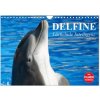 Delfine - Lächelnde Intelligenz (Wandkalender 2024 DIN A4 quer), CALVENDO Monatskalender