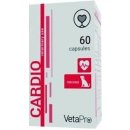 VetaPro Cardio 60 kapsúl