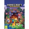 Minecraft Java & Bedrock PC