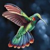 Gaira Diamantové maľovanie Kolibrík D0090