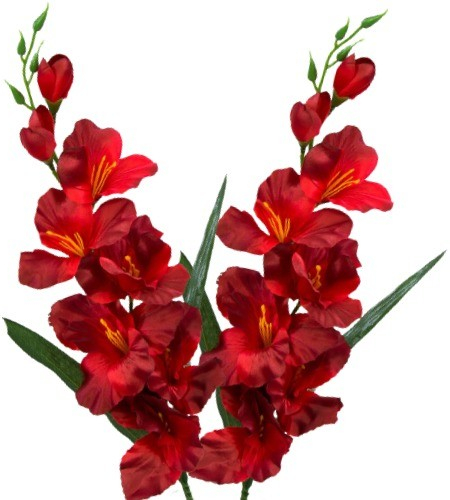 Umelá gladióla saténová tmavočervená 65 cm