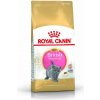 Royal Canin British Shorthair Kitten 2 kg