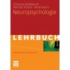 Neuropsychologie (Christian Bellebaum,Patrizia Thoma,Irene Daum)(Brožovaná)