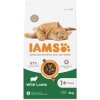 IAMS Cat Adult Lamb 2 kg