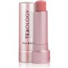 Teaology Tea Balm hydratačný balzam na pery v tyčinke odtieň Peach Tea 4 g