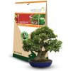 Symbiom SYMBIVIT BONSAI 150 g