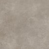 Gerflor Creation 55 Rigid Lock Acoustic Bloom Uni Taupe 0868 - 1,67 m2
