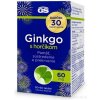 GS Ginkgo 60 mg s horčíkom 2024 120 tabliet