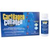 Bottega di LungaVita - Cartilagen Collagen hydrolyzovaný morský kolagén (5000mg)
