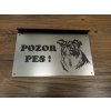 Pozor pes! Border kólia