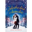 Jedného dňa v decembri - Josie Silver