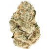 Fastbuds - Gorilla Melon 3 ks - Semená neobsahujú THC