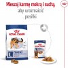 ROYAL CANIN Maxi Adult - suché krmivo pro psy - 15 kg