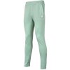 Pánske nohavice Tecnifibre Team Terry Pants Sage XXL