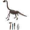 Alltoys Archeologický set Brachiosaurus