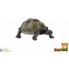 zooted Korytnačka sloní plast 8 cm
