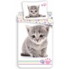 Bavlnené obliečky Kitten colour, 140 x 200 cm, 70 x 90 cm