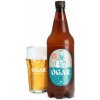 Pivovar Ogar Pivo Ogar Vianočná IPA 1l