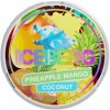 Iceberg Pineapple Mango Coconut