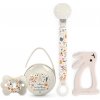 Suavinex Wonderland Suavinex Wonderland Duo Soother Case krabička na cumlík 1 ks + Suavinex Wonderland Soother Clip with Ribbon spona na cumlík 1 ks + Suavinex Wonderland SX Pro Physiological 0-6 m cu