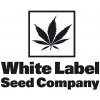 White Label Rhino regular semena neobsahují THC 10 ks
