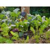 GARDENA smart zavlažovací počítač senzor súprava 19202-20