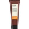 Insight Antioxidant Rejuvenating Mask vyživujúca maska pre ochranu a lesk vlasov 250 ml