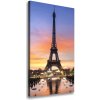 Vertikálny foto obraz na plátne Eiffelová veža Paríž 50x100 cm