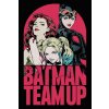 Plagát, Obraz - Batman - Team Up, 26.7 × 40 cm