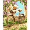 Gaira Malovanie podľa čísel Bicykel
