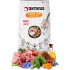 Ontario Cat Shorthair 6,5kg