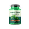 MOVit GINKGO BILOBA 60mg FORTE 90 kapsúl